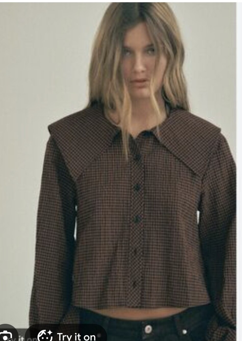 Zara Gingham Peter Pan Collar Checkered Button Up Bloyse Size XS
